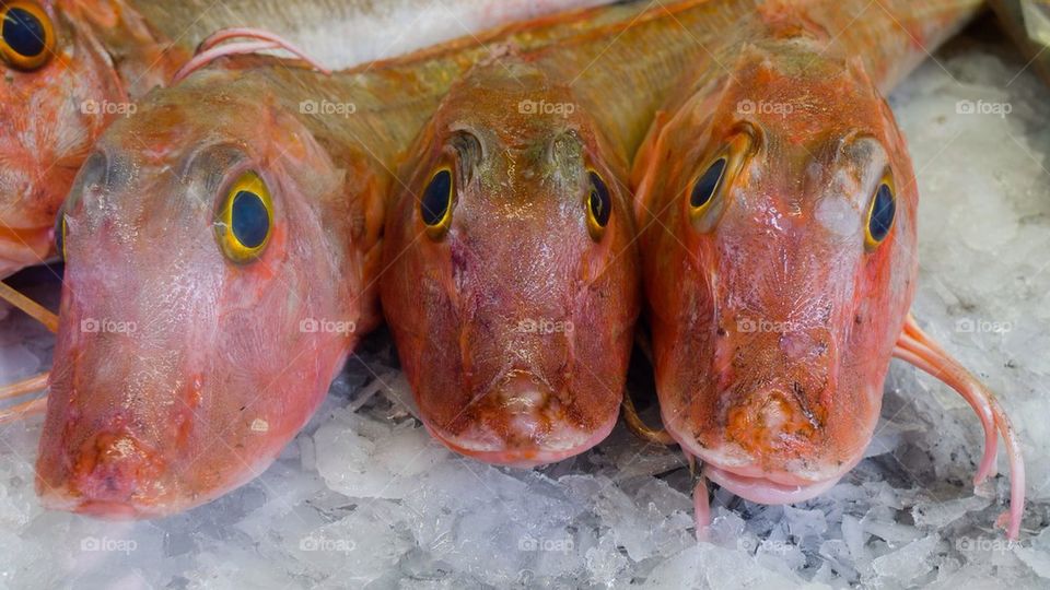 Who are you looking at?