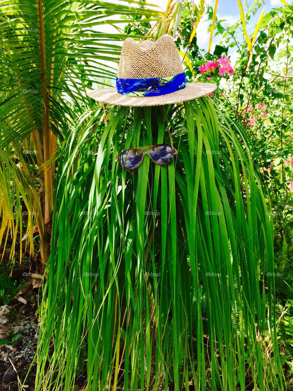 Hawaii Series: "Cousin It"