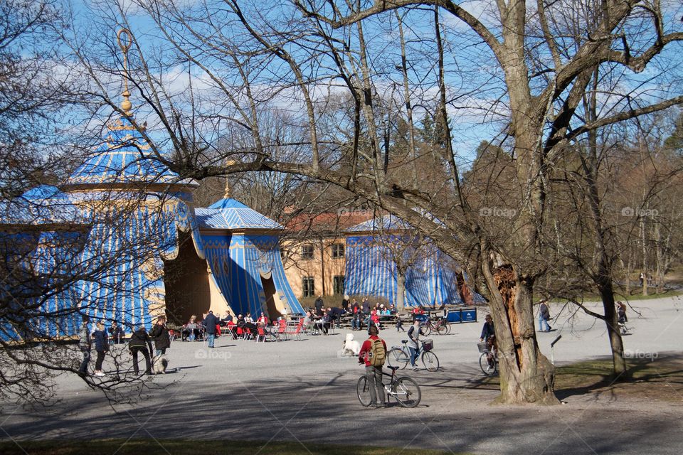 Spring in Haga park . Spring in Haga park, Stockholm, Sweden 