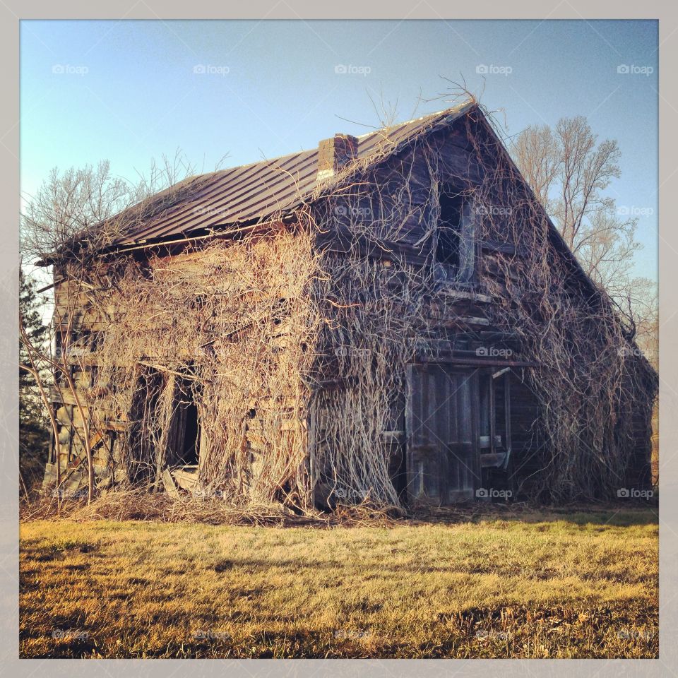 Old barn in Scio Ohio 