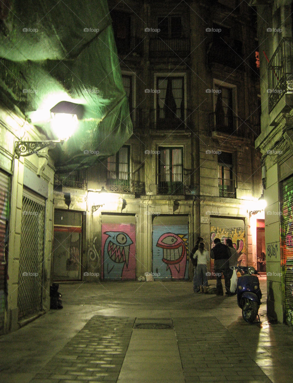 Gothic Barcelona by night . Barrio Gótico de noche