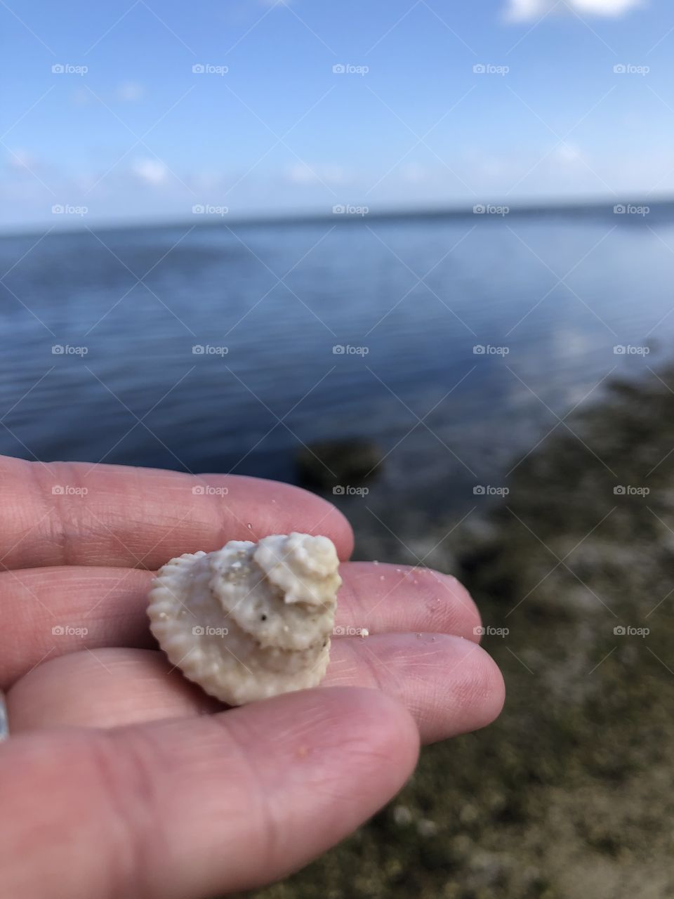 Holding a shell at the beach