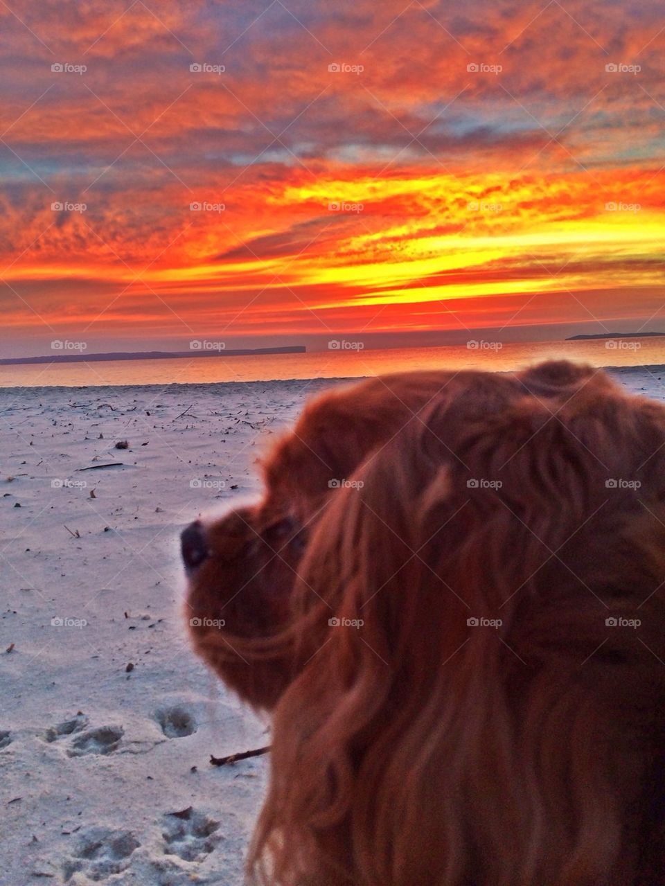 Jasper and the sunrise
