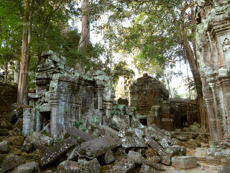 Ta Prohm ruins at dawn, Siem Reap, Cambodia, Tomb Raider temple
