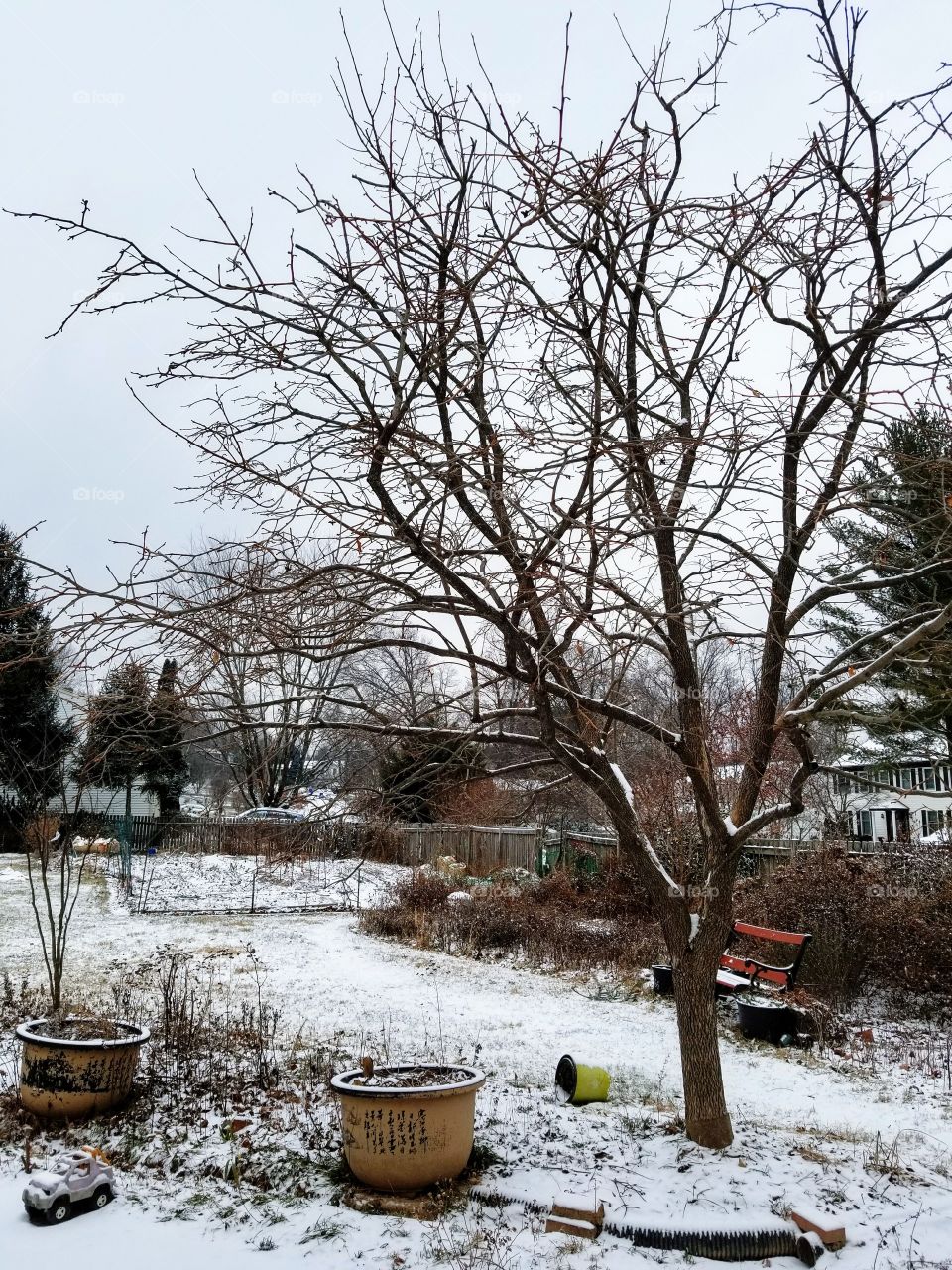 Snowy backyard in Maryland, December 2017