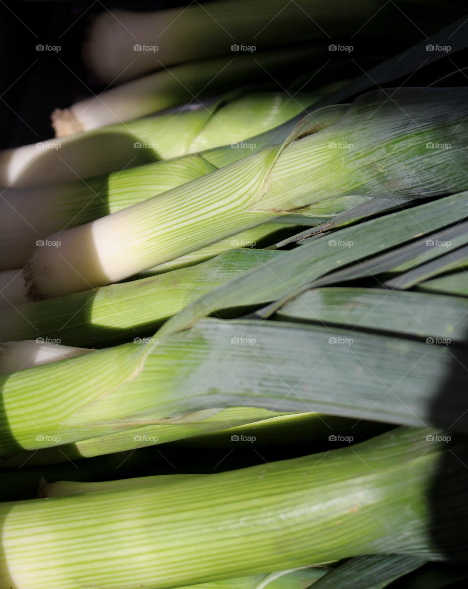 Close-up of leek