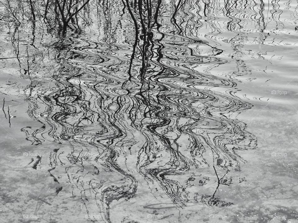 Water reflection