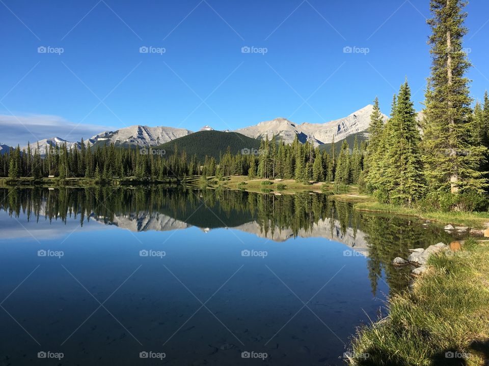 View of symmetry in lake