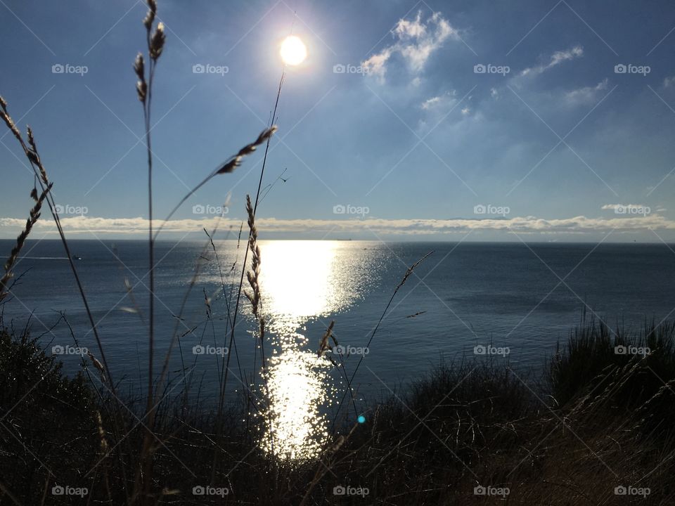 Sunlight reflecting over lake