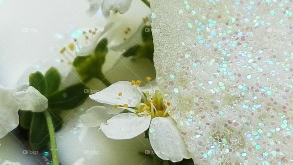 macro shot of glitter on white wedding flower