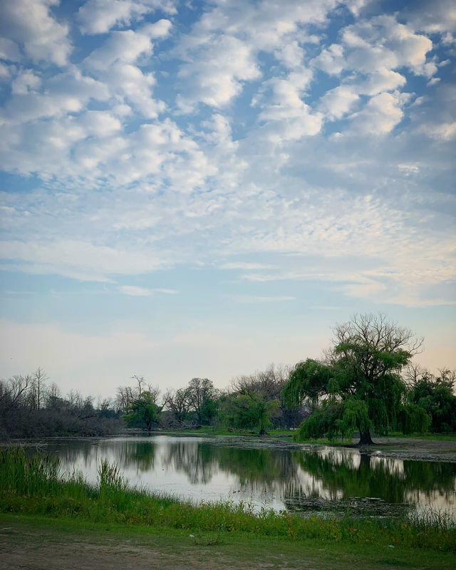 Summertime on Belle Isle, Detroit