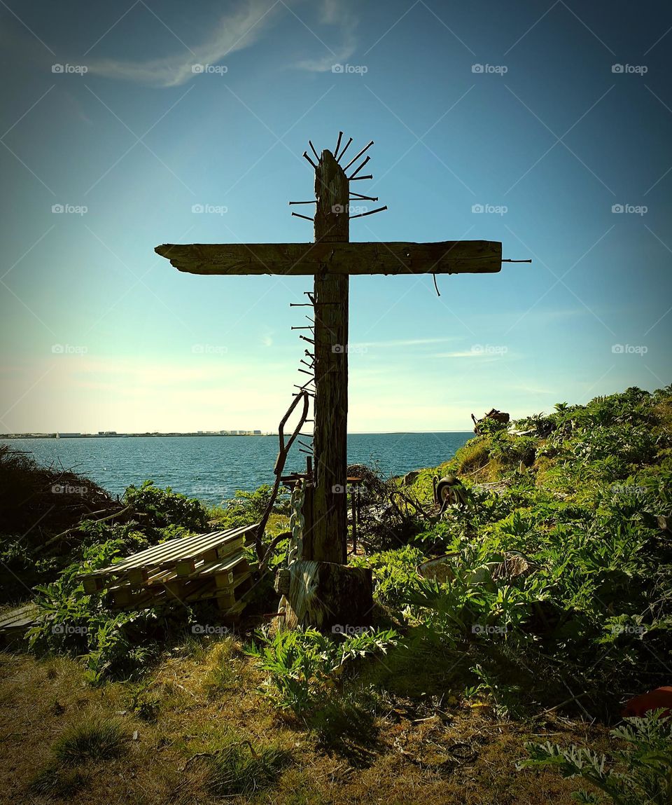 Do You See The Heart? ❤