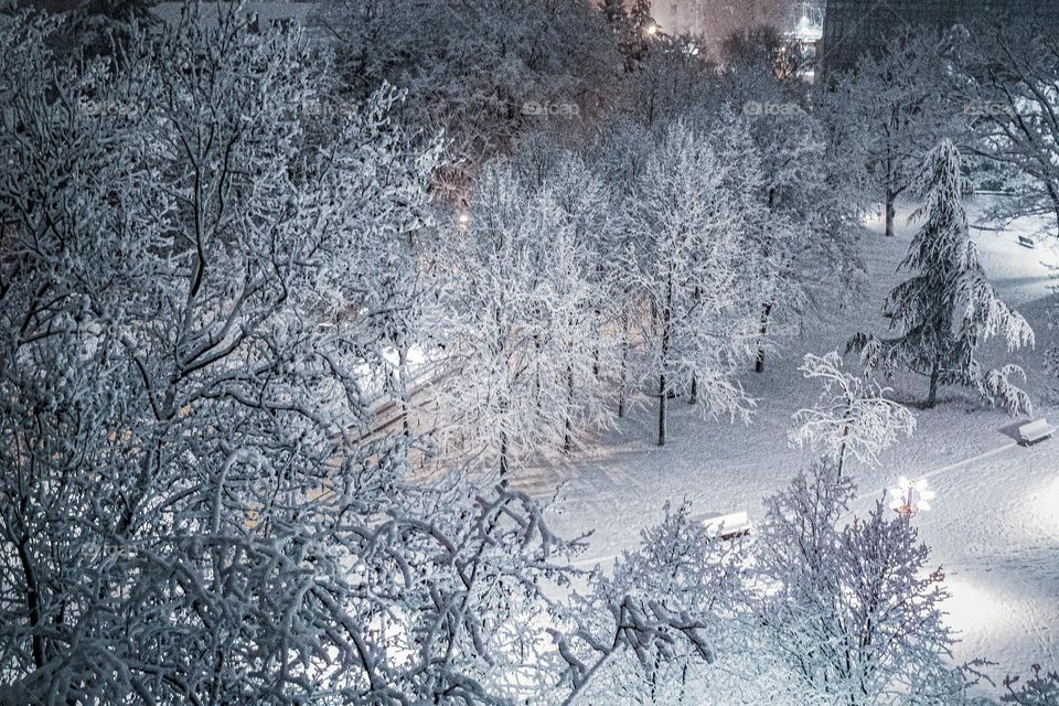 Winter- view from the window