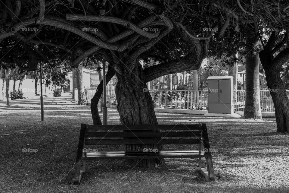 Empty bench at public park