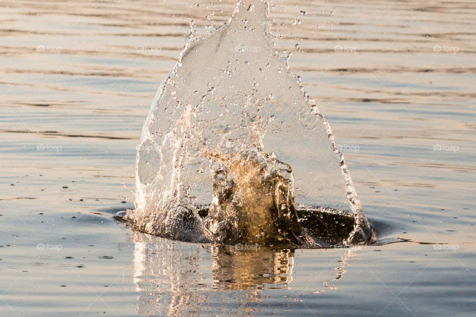 Rock splashing in sea