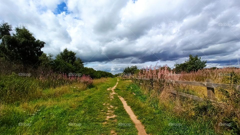 Walk on the countryside, after rain, fresh, Orwell Country Park, UK