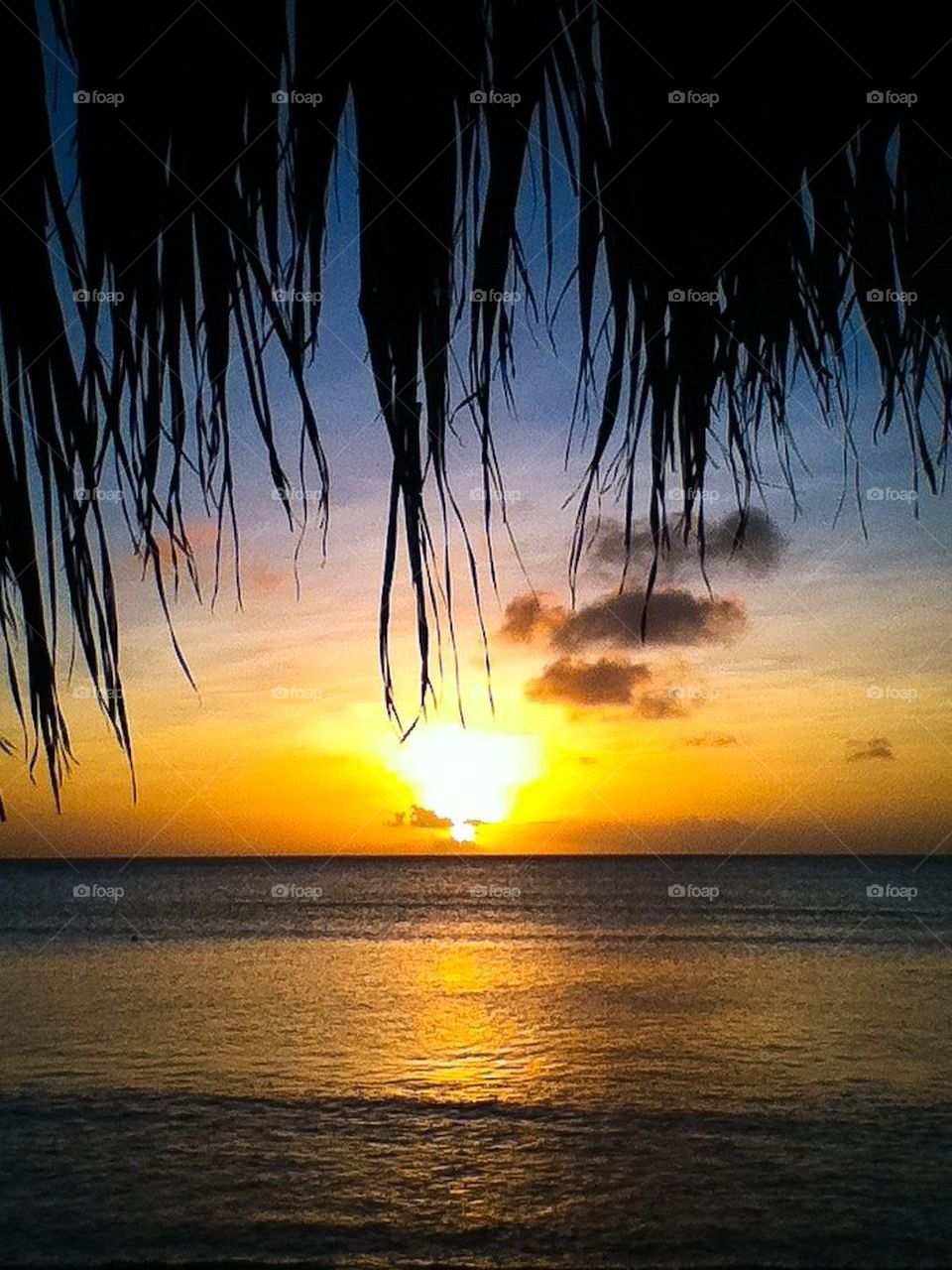 Aruba sunset