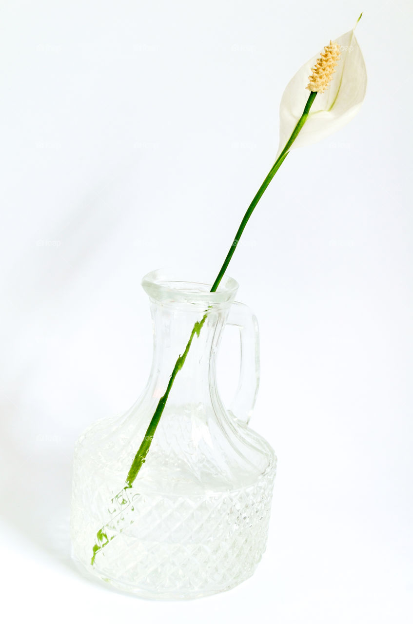 Glass cruet with a flower inside.