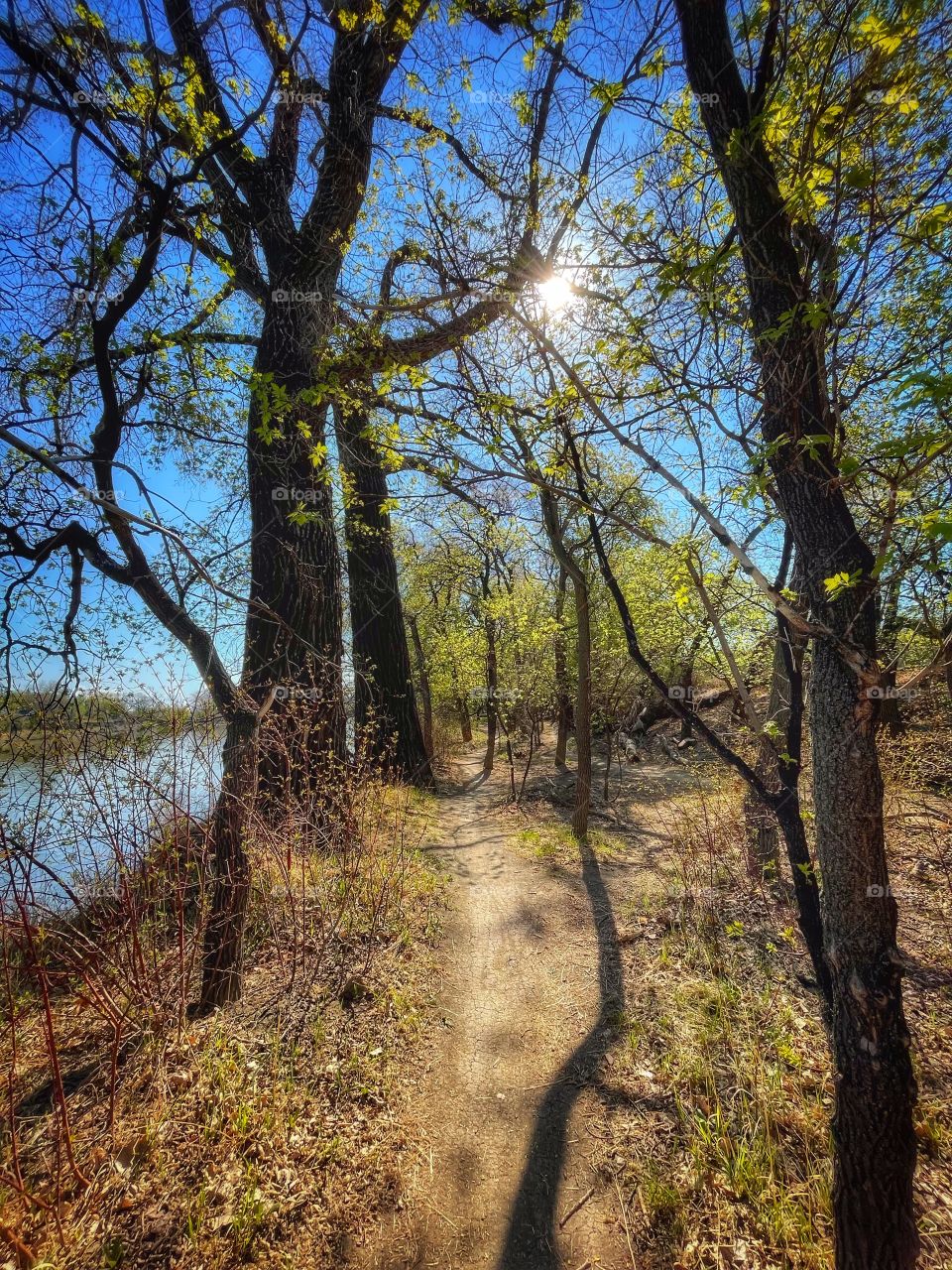 Peaceful river trail 