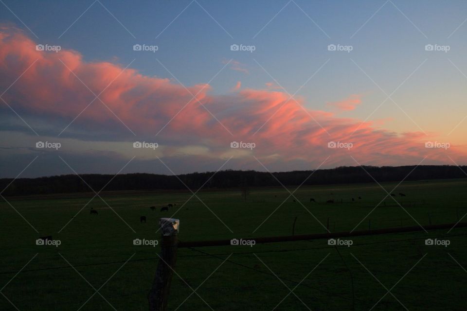 Pink Clouds