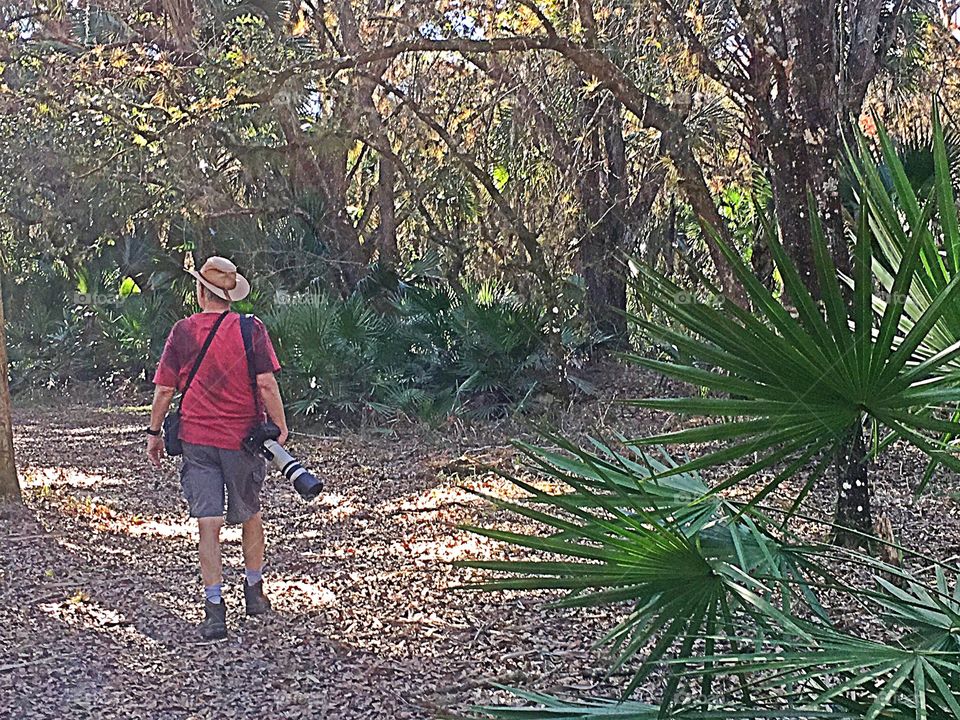 Photographer in the forest