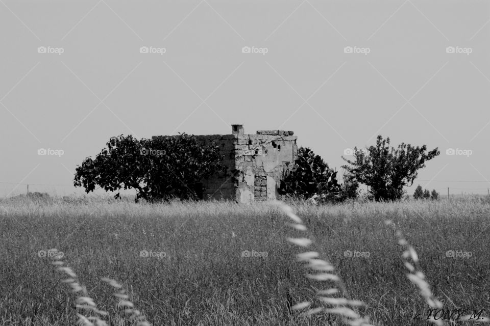 Typical rural dry stone construction used by farmers decades ago. These country constructions blend beautifully with the environment and used to be very common here in Salento, Italy.