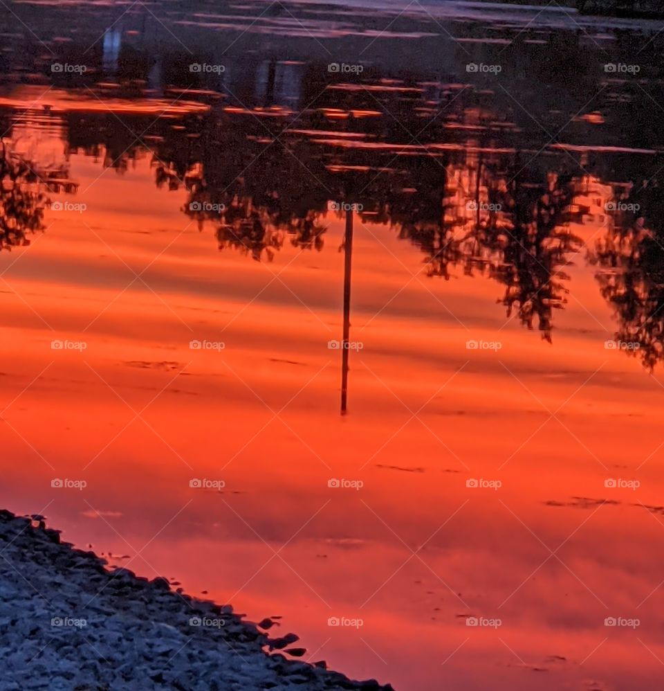 Reflection on the pond at Dusk