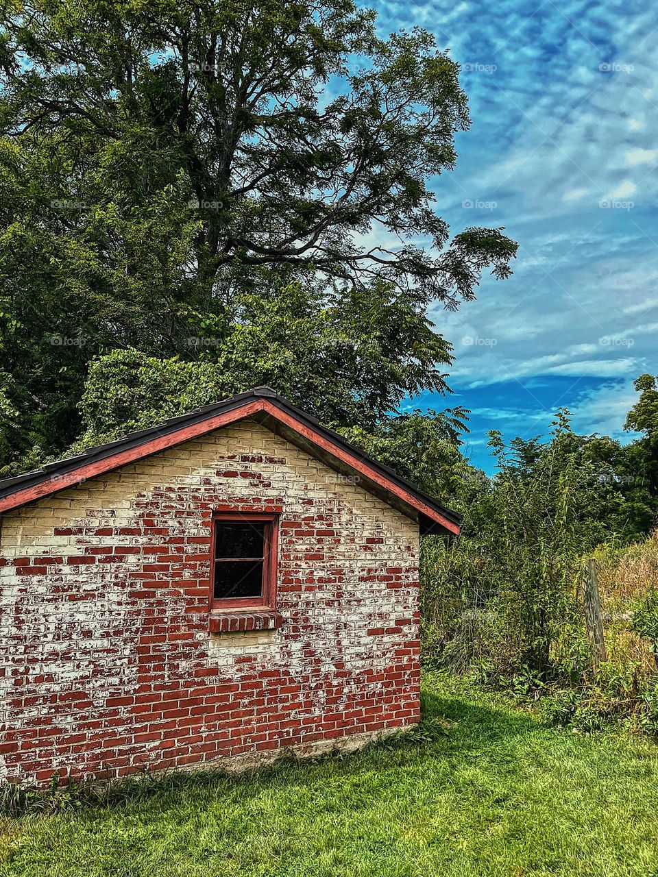 Architecture in the country, old abandoned homes in the woods, architecture of an old building, building surrounded by nature, old brick building with trees surrounding the area, architecture of the homes in the country, simple architecture 