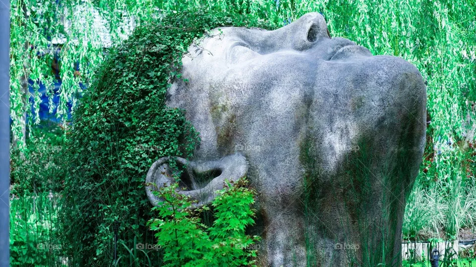 Nature 