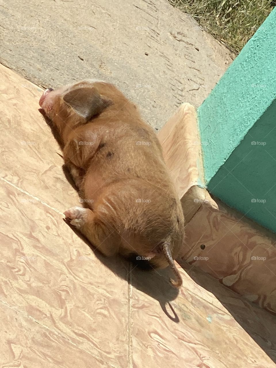 Must be thinking 😂🤔