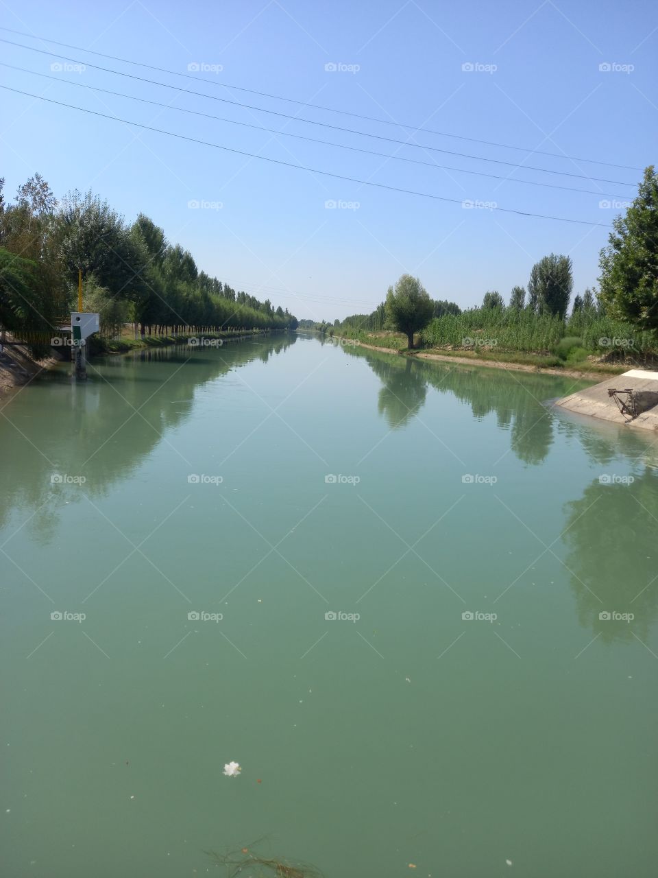 the deep blue water in the bosom of nature flows calmly, it is interesting to see different trees around the water