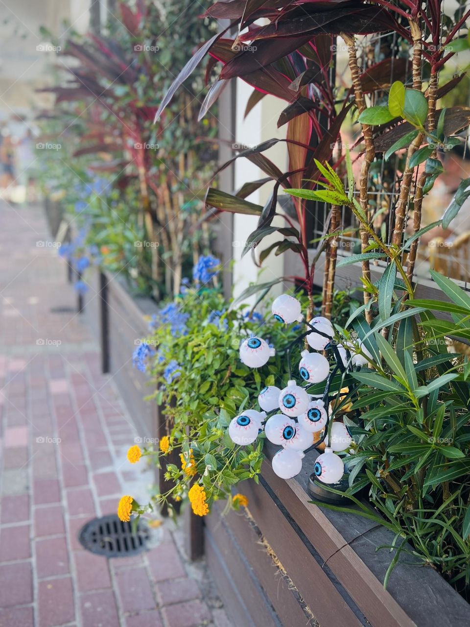 Halloween decorations in a flower box. Eyeball bush included with the flowers.