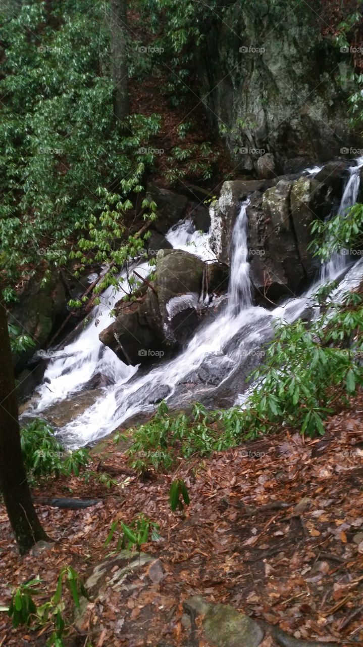 small waterfall. along the trail