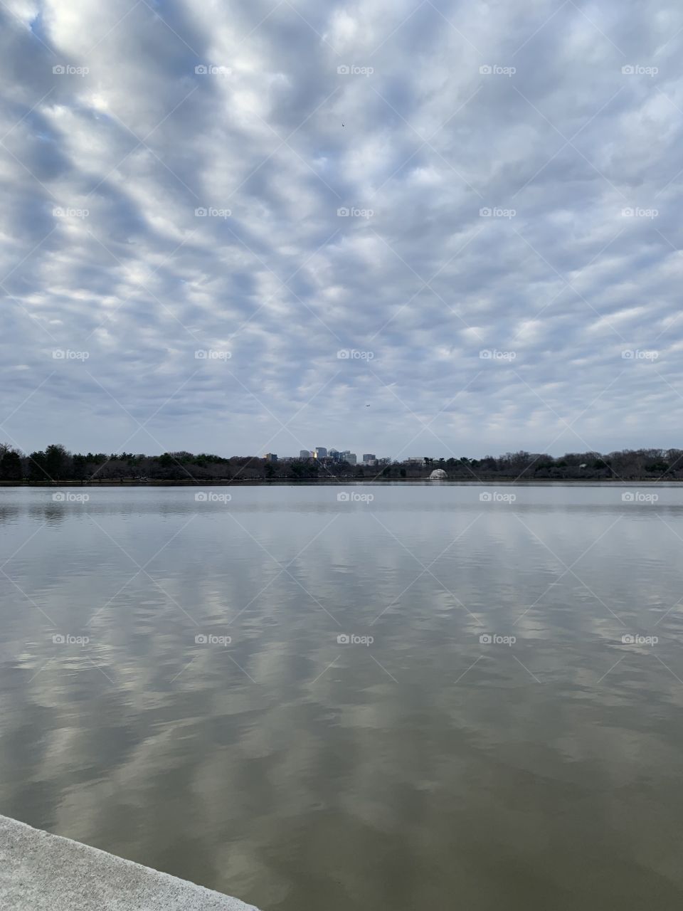 Reflections over the Tidal Basin