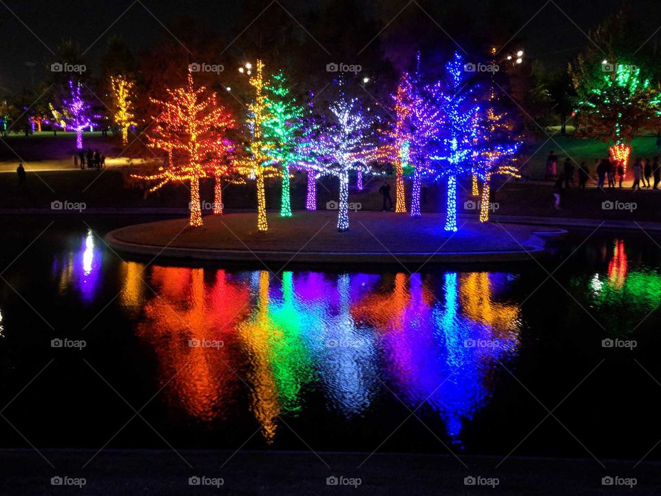 rainbow light trees on lake island