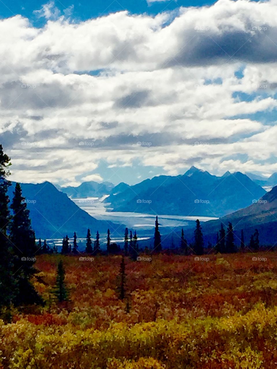 View of autumn trees and mountains