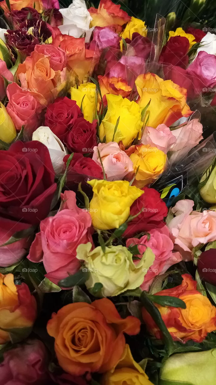 Blumen