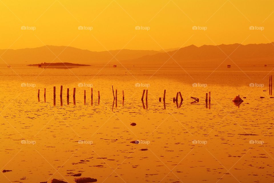 Salton sea fences in yellow