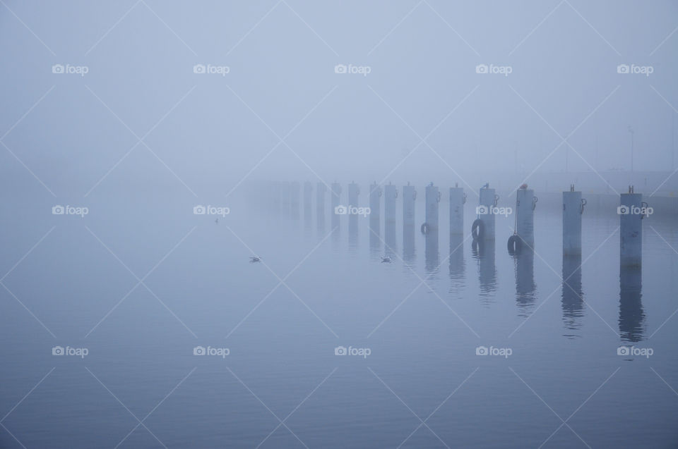 Row of poles in foggy sea