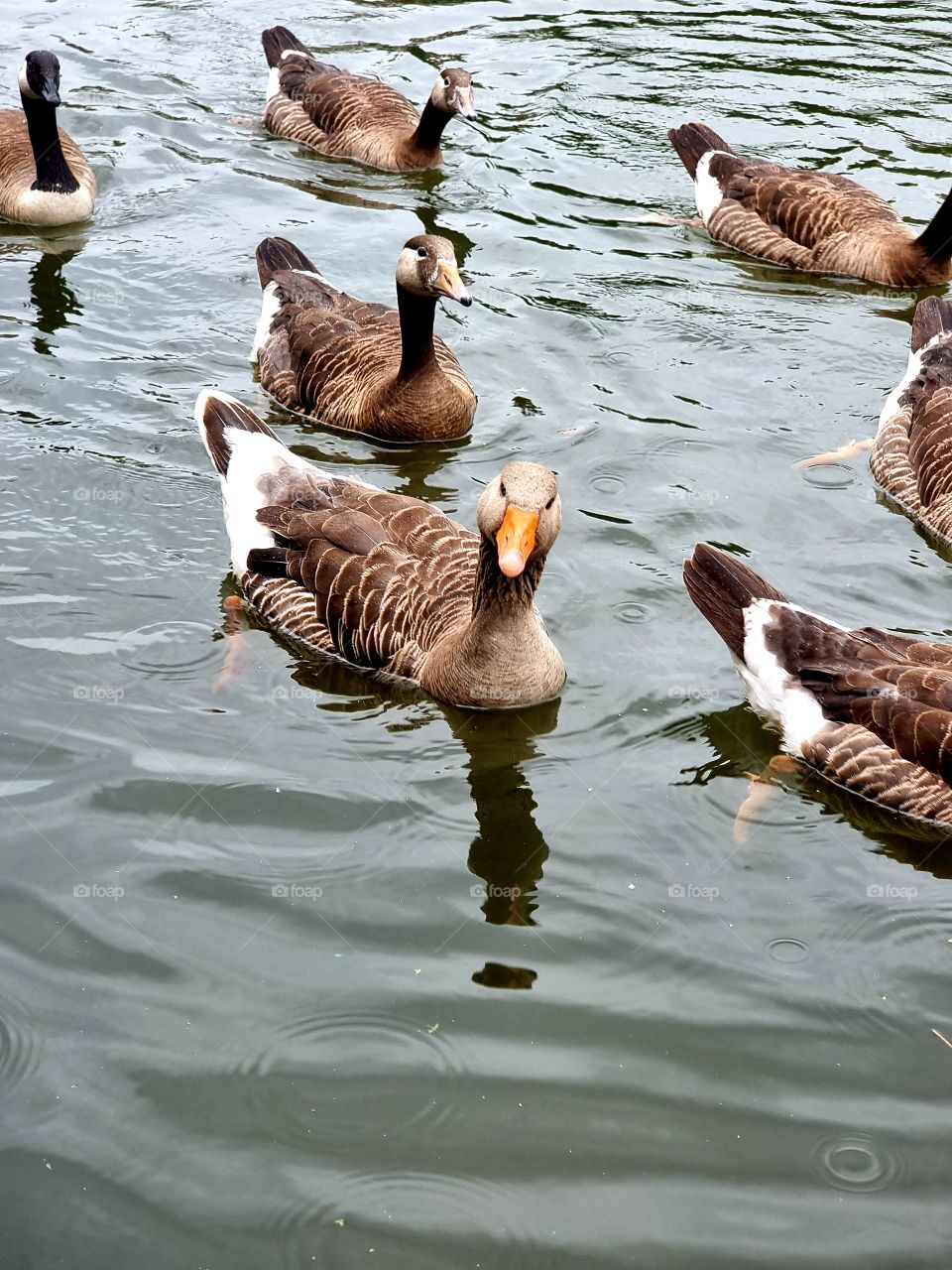 I am different than other one