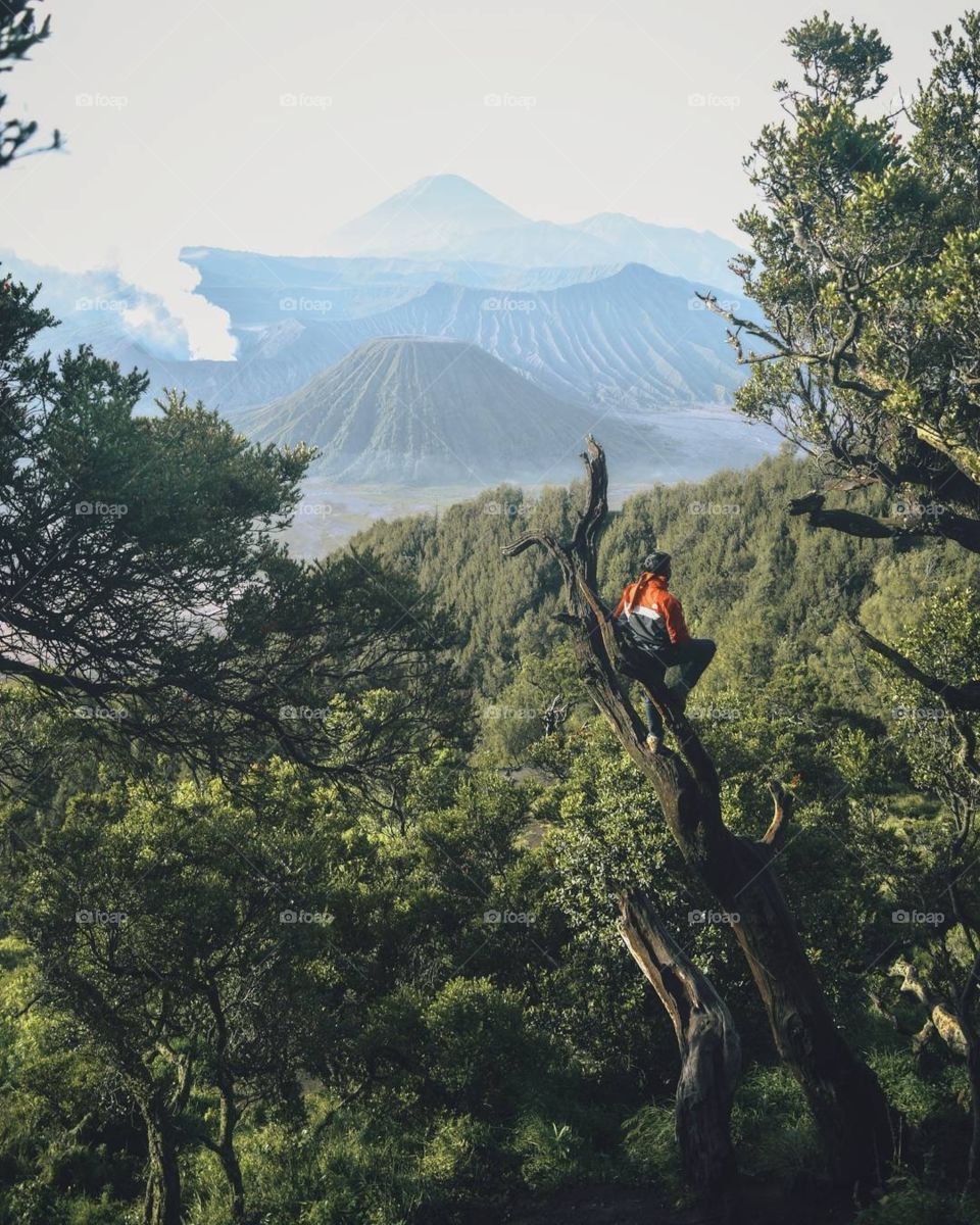 Someone is looking around - Mount Semeru - Indonesia