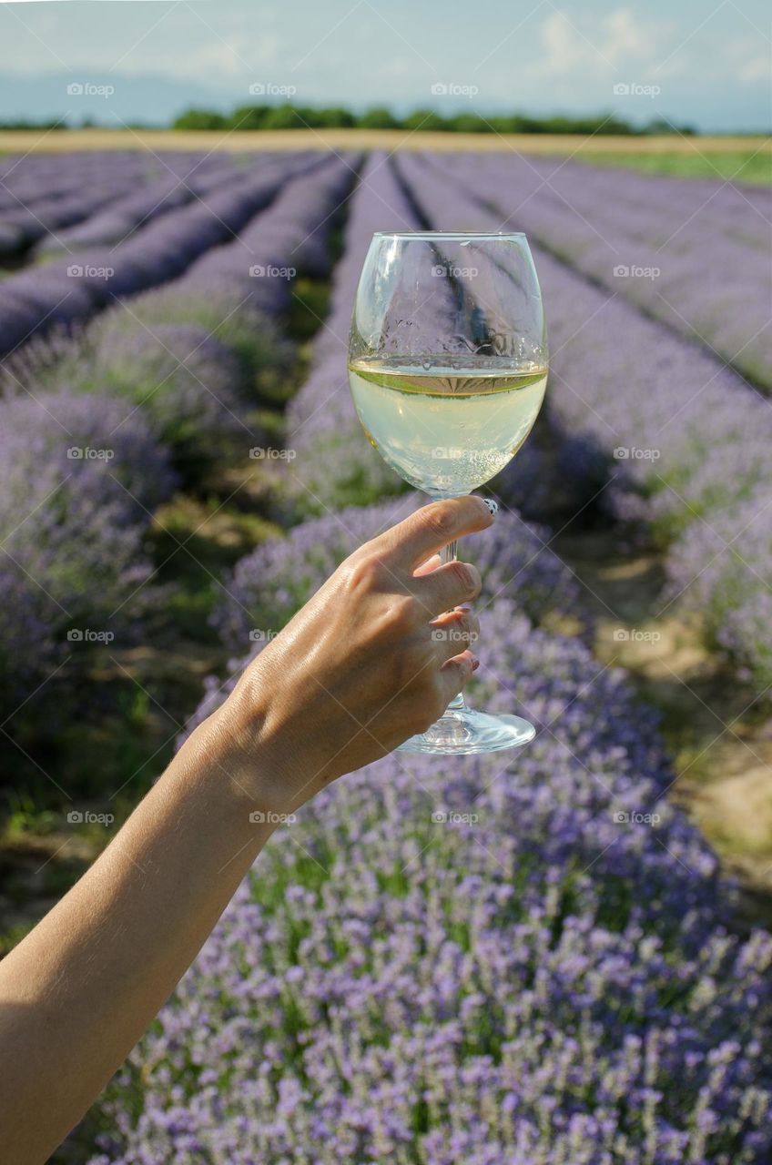 A glass of Wine in lavender field