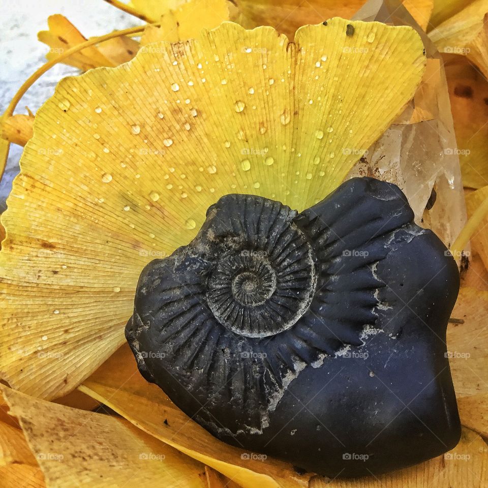 No wonder people are getting bitter but looking around can be grounding and extremely liberating,even though just for the moments,then again Now is all we have ...aye Captain?