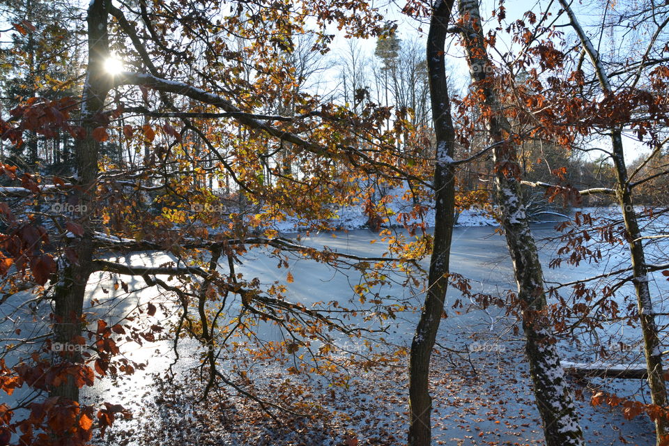 Winter in Skåne, Sweden