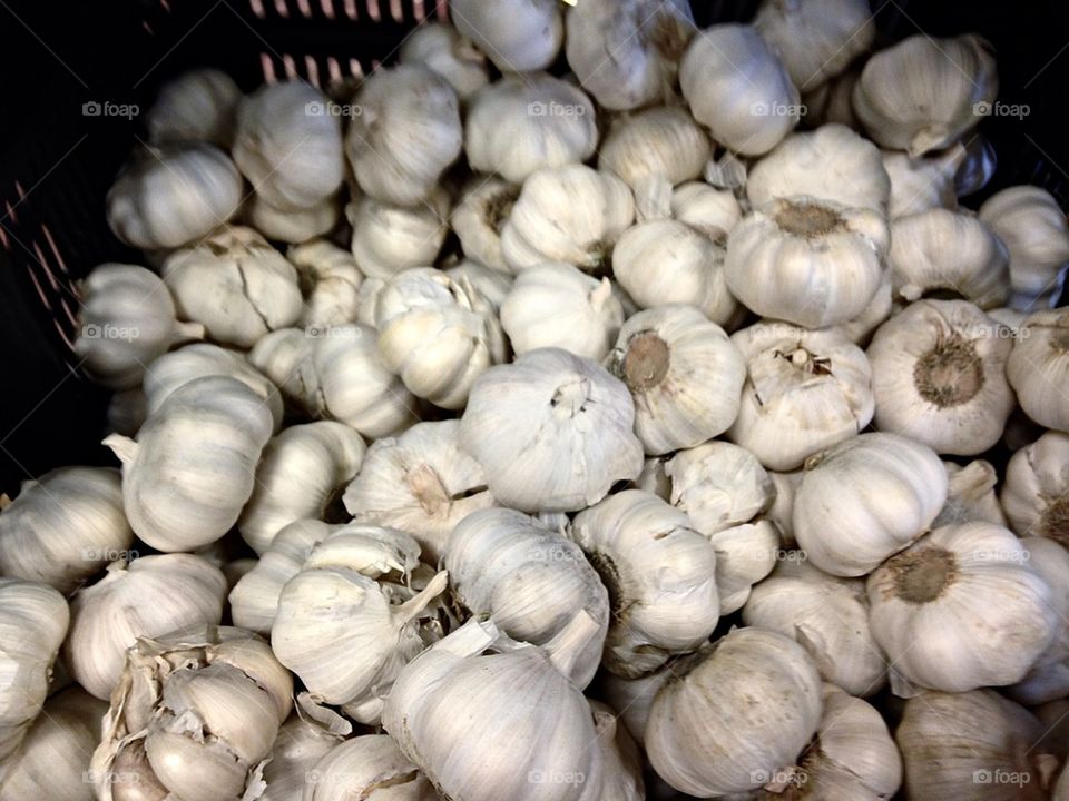 Garlic Bulbs