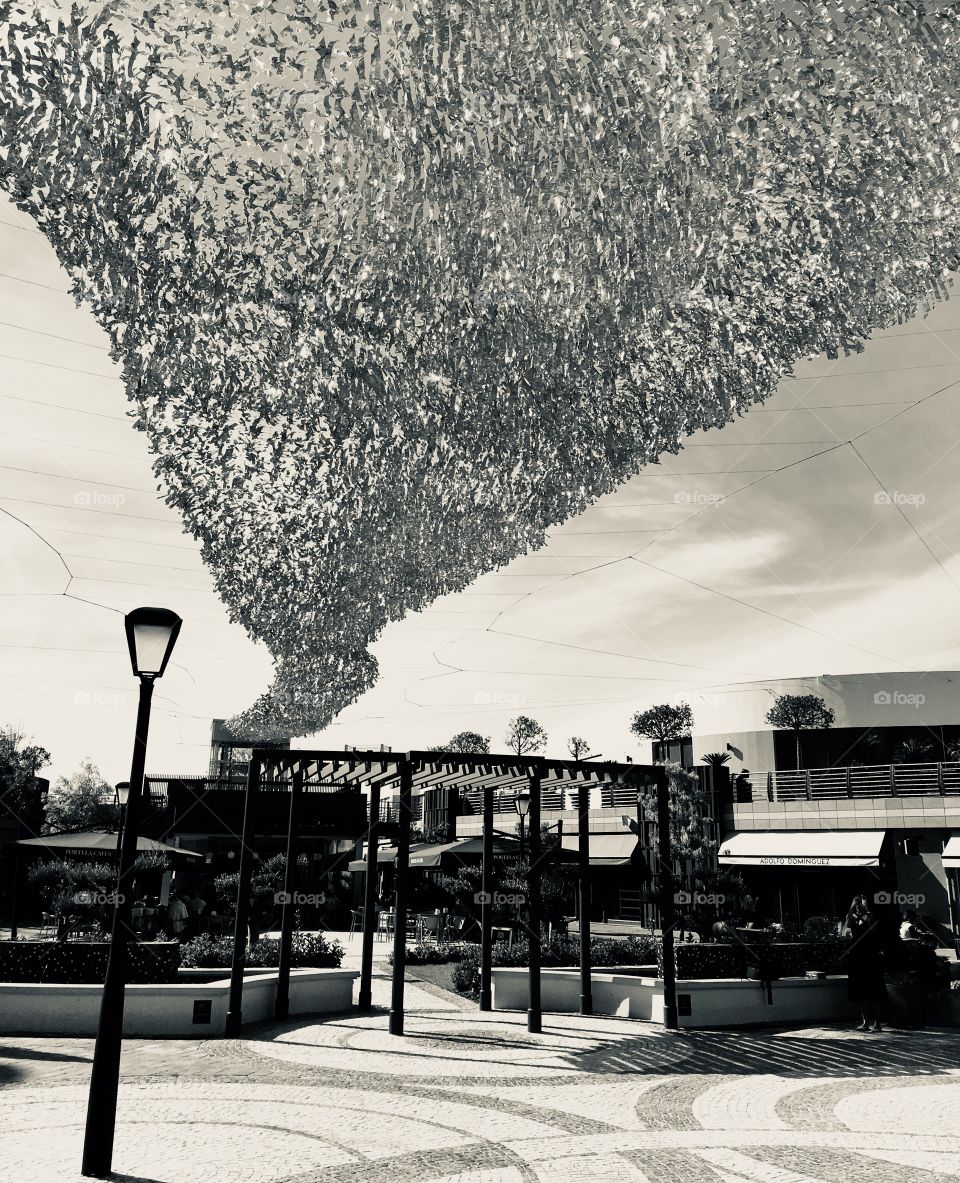 Art, black and white 