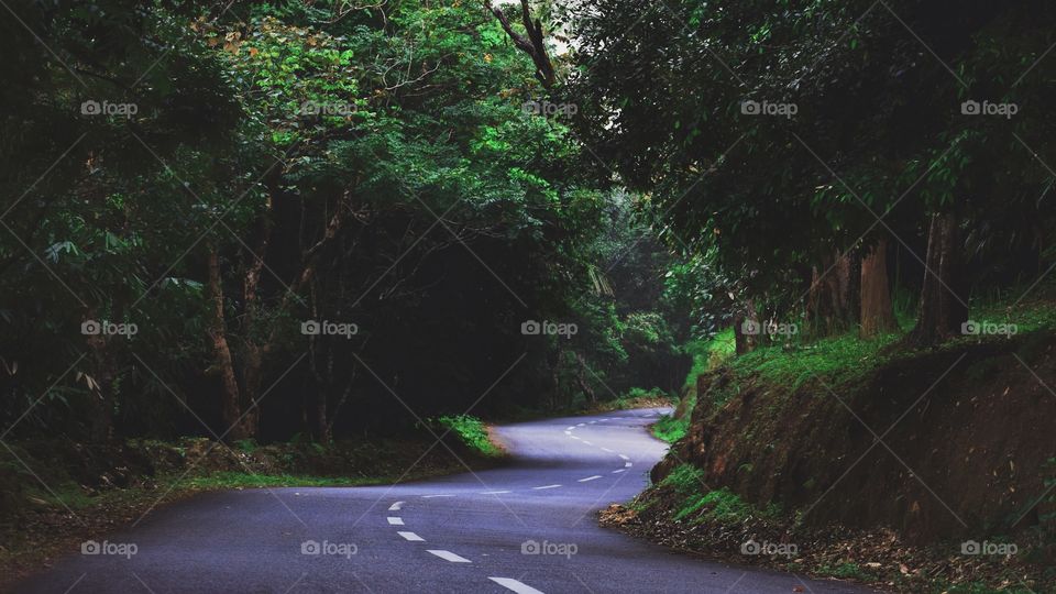 Golden Valley Road to Ponmudi Hill Top, Kerala