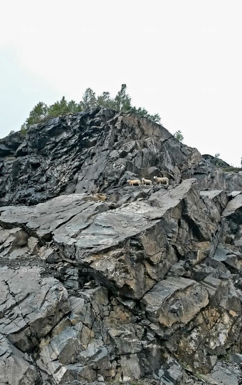 The rough nature in Norway