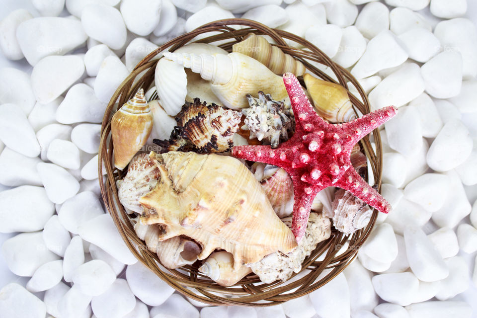 Seashells and starfish in a basket on a background of white stones