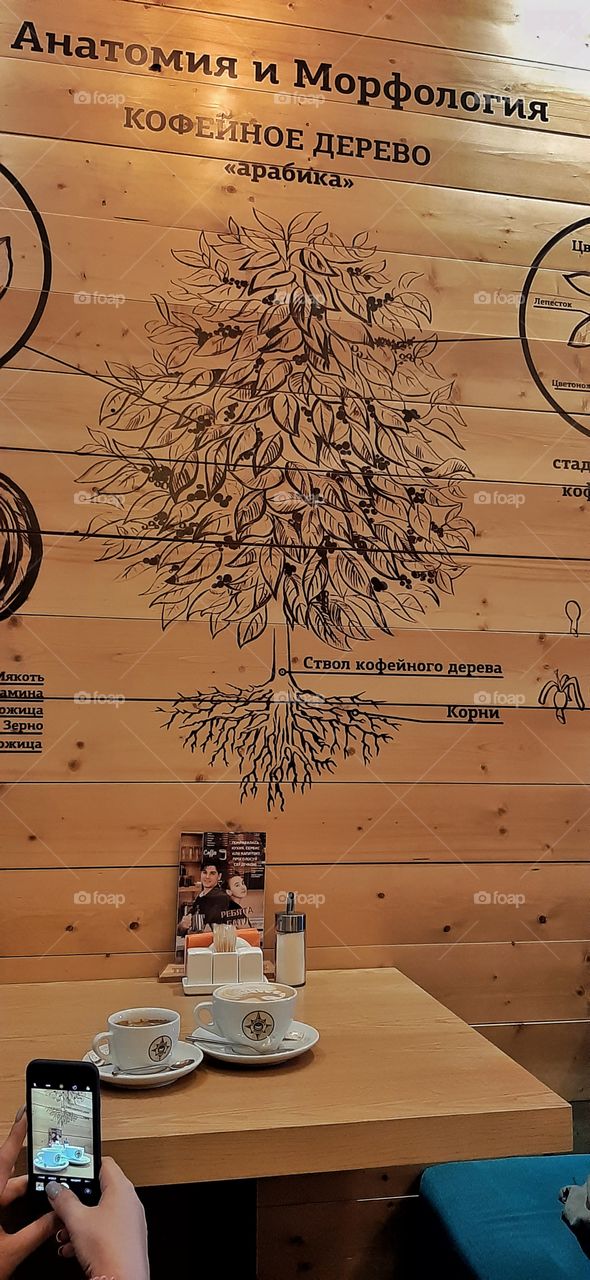две чашки кофе на фоне стены с нарисованным кофейным деревом